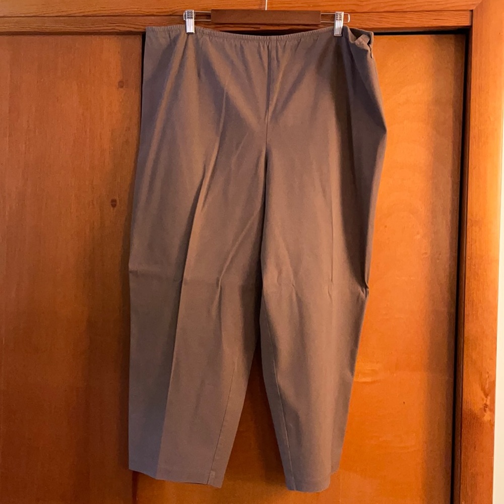 Eileen Fisher taupe slip on pants